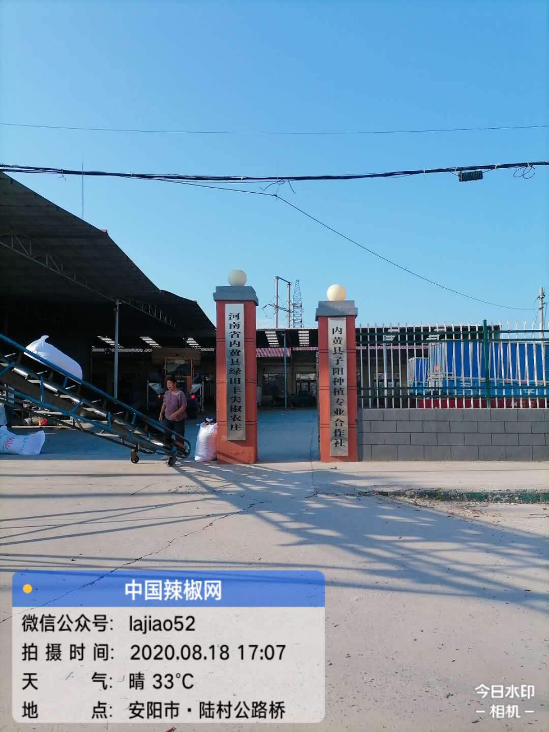 圖片6