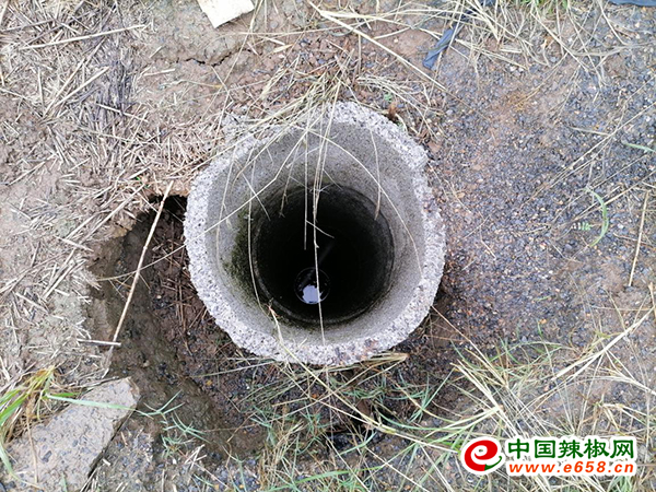 圖片4