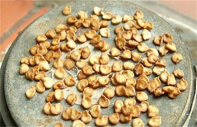 圖片20