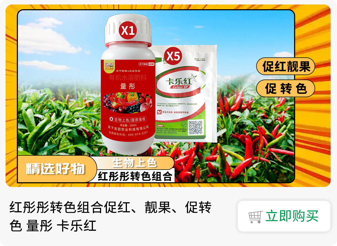 紅彤彤轉(zhuǎn)色組合