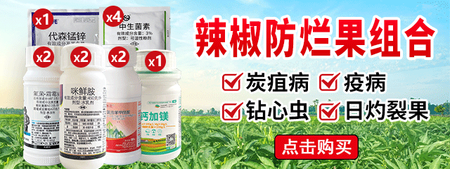 辣椒防爛果組合